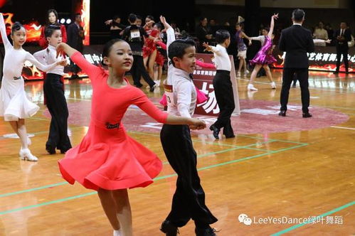 绿叶少年 舞动惠州 第22届广东省体育舞蹈锦标赛
